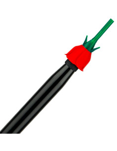 Bico de rosas vermelhas 3D | Bengala Espanha 2