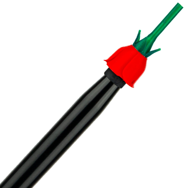 Bico de rosas vermelhas 3D | Bengala Espanha