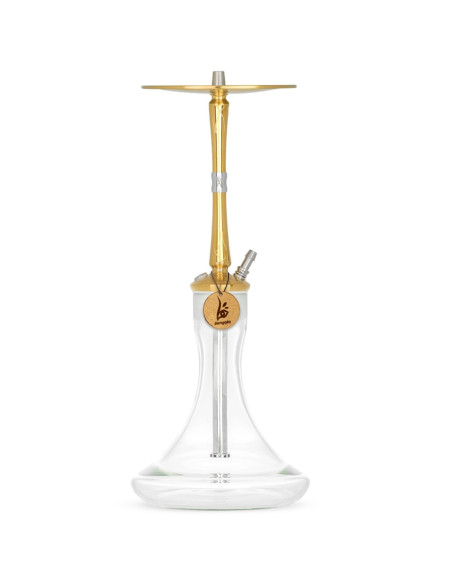 Cachimba Hoob Hookah Go On Gold | Bengala Spain