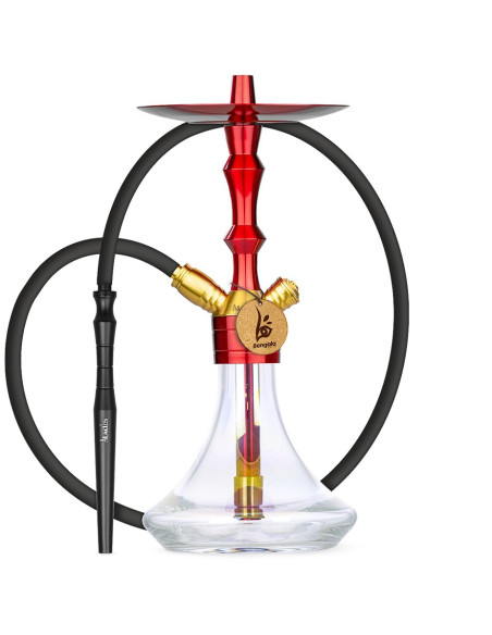Cachimba Aladin MVP 360 Hero Edition | Bengala Espanha