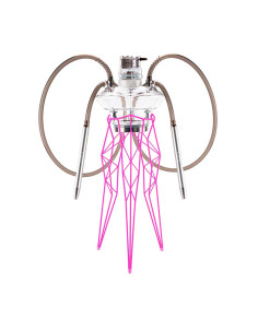 Cachimba Meduse Nautila Trigona | Bengala Spain 2