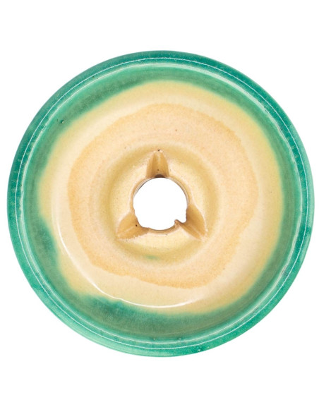 Bengala Bowl mamão | Bengala Espanha