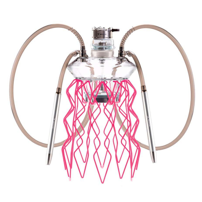 Cachimba Meduse Nautila Aurita | Bengala Spain