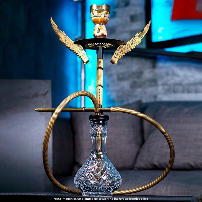 Cachimba Alpha Hookah Oro Prime | Bengala Spain