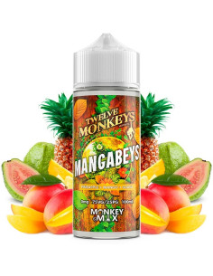 LIQUIDO -  MANGABEYS 100ML BY TWELVE MONKEYS