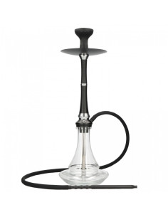 CACHIMBA MS  CAMELIA | Bengala Spain 2