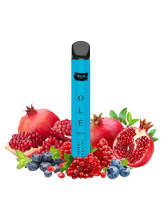 POD DESECHABLE MINI OLE 600 - BLUEBERRY POMEGRANATE | Bengala Spain