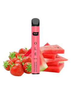 POD DESECHABLE MINI OLE 600 - STRAWBERRY WATERMELON