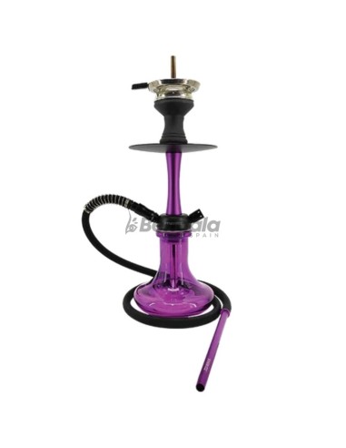 CACHIMBA STARBUZZ CHICO