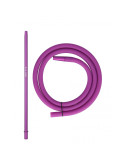 Morado