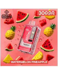 Pod Desechable Gudbar – Watermelon Pineapple · Calada directa y perfil afrutado