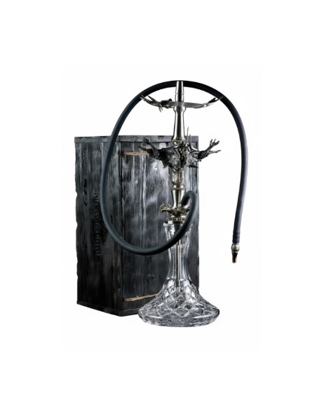 CACHIMBA MAKLAUD MISTER MIND | Bengalaspain