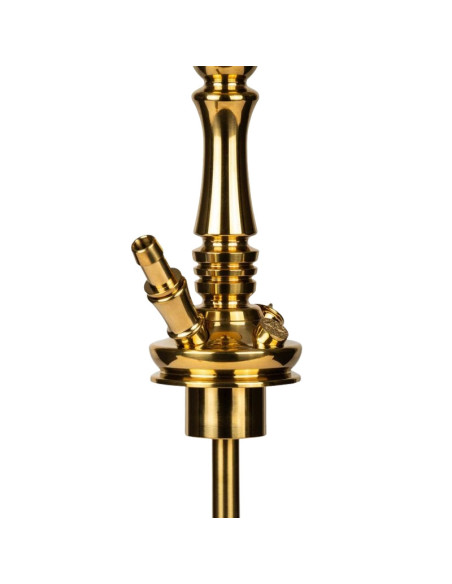 CACHIMBA MOZE TRADI L