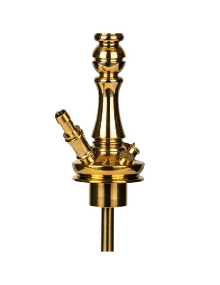 CACHIMBA MOZE TRADI M