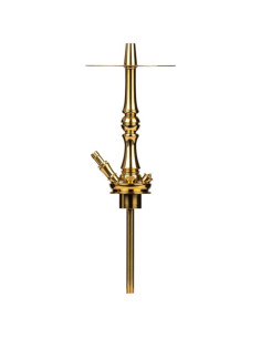 CACHIMBA MOZE TRADI M