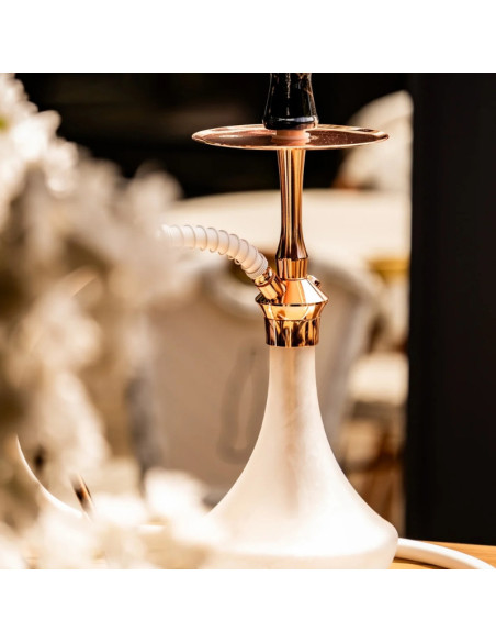 Cachimba El Badia C5 V2 | Comprar online en España