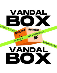 VANDAL BOX
