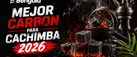 Mejor Carbón de Cachimba 2026